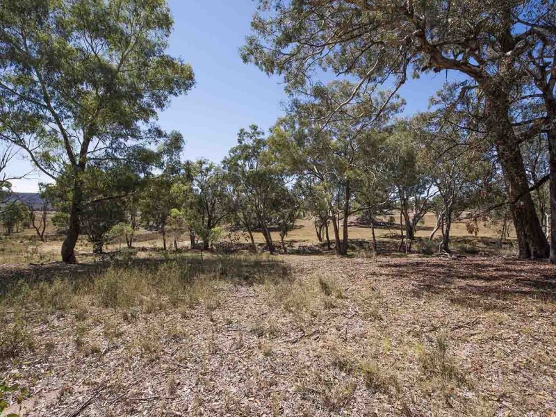 151 Wattlegrove Lane, Mudgee NSW 2850
