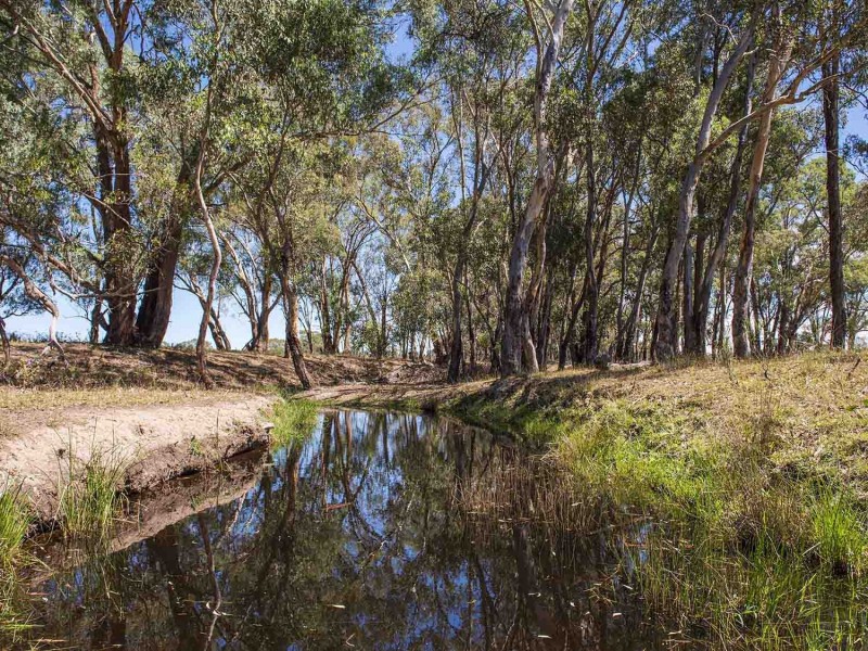 151 Wattlegrove Lane, Mudgee NSW 2850