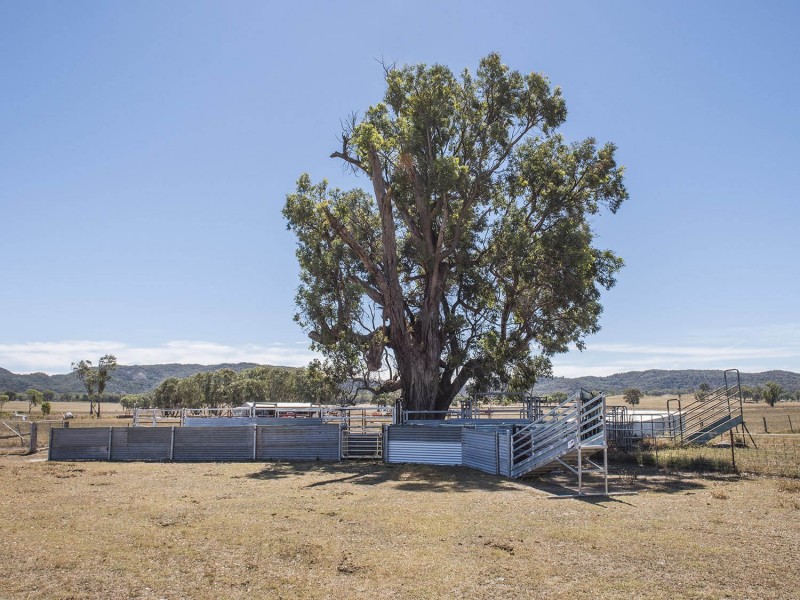 151 Wattlegrove Lane, Mudgee NSW 2850