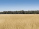 593 Spring Creek Road, Mudgee NSW 2850