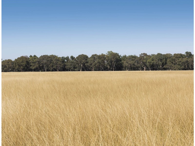 593 Spring Creek Road, Mudgee NSW 2850