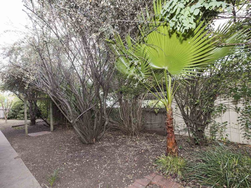 56 Horatio Street, Mudgee NSW 2850