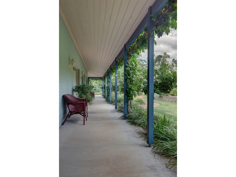 104 Bellevue Road, Mudgee NSW 2850