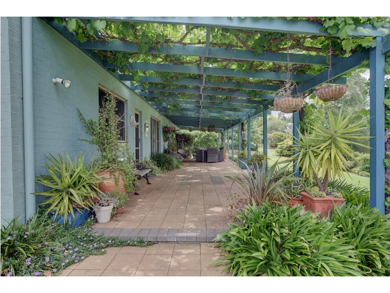 104 Bellevue Road, Mudgee NSW 2850