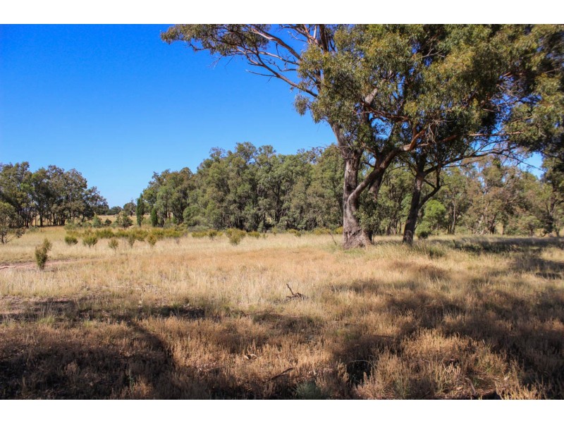 5 Wyoming Lane, Mudgee NSW 2850