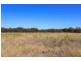 5 Wyoming Lane, Mudgee NSW 2850