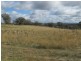 88 Hillside Lane, Mudgee NSW 2850