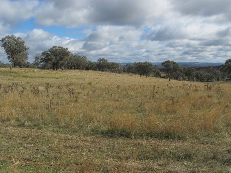 88 Hillside Lane, Mudgee NSW 2850