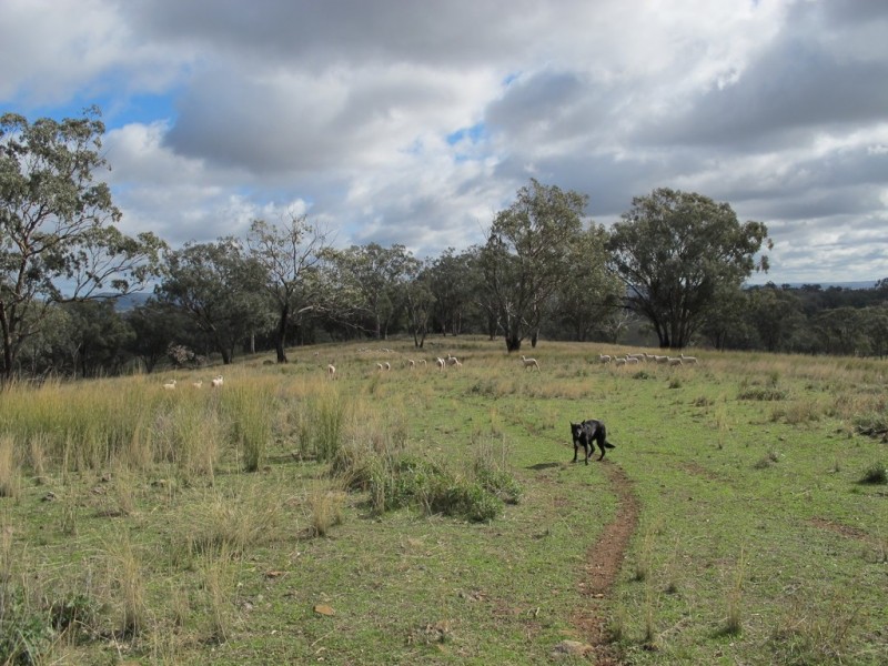 88 Hillside Lane, Mudgee NSW 2850