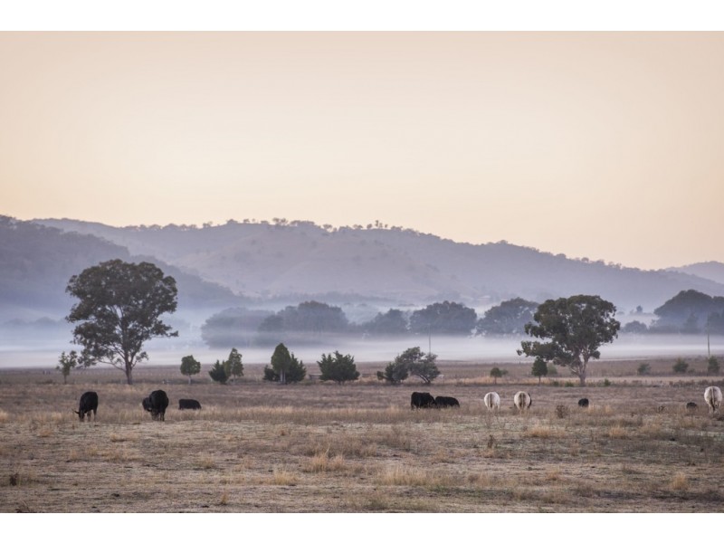 Bombira Estate, Mudgee NSW 2850