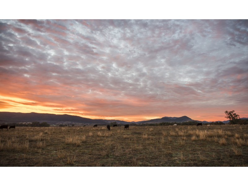 Bombira Estate, Mudgee NSW 2850
