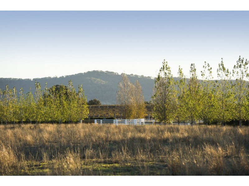 Bombira Estate, Mudgee NSW 2850