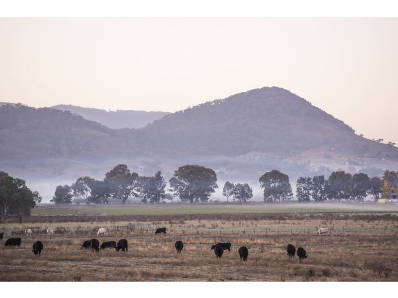 Bombira Estate, Mudgee NSW 2850