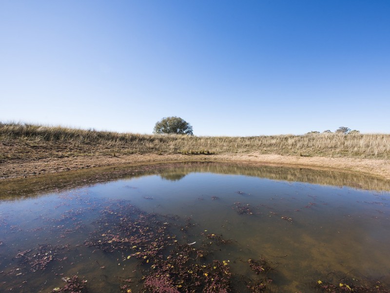 157b Lowes Peak Road, Mudgee NSW 2850