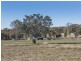 157b Lowes Peak Road, Mudgee NSW 2850