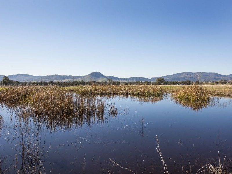 14 Hill Sixty Drive, Mudgee NSW 2850