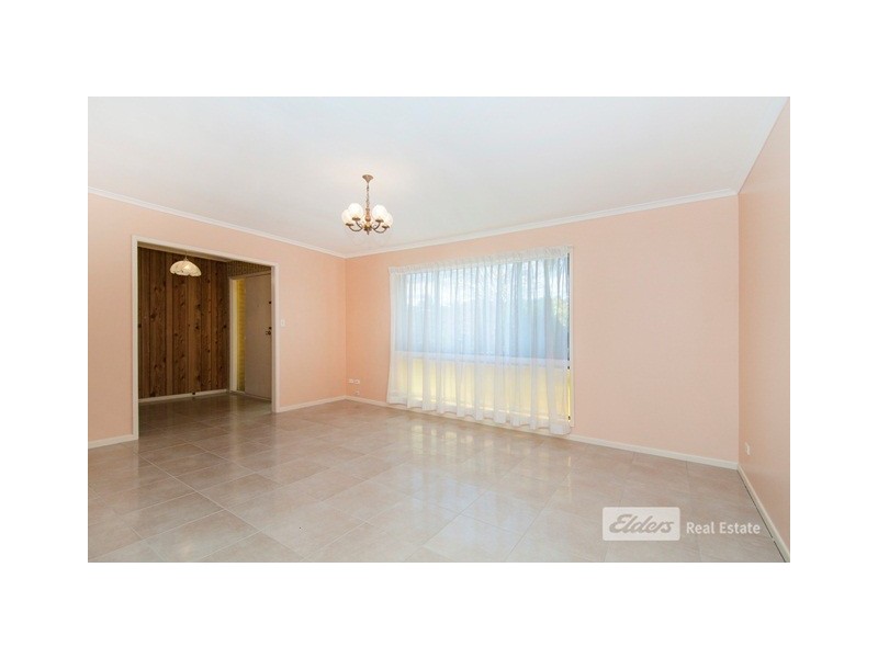 43 BARBARALLA DRIVE, Springwood QLD 4127