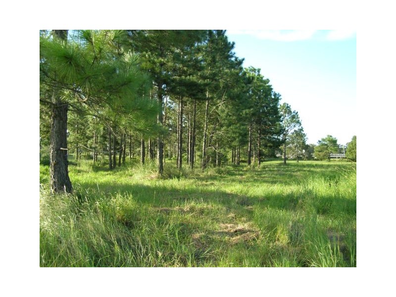 28 WILLIAM ST, Waterford West QLD 4133