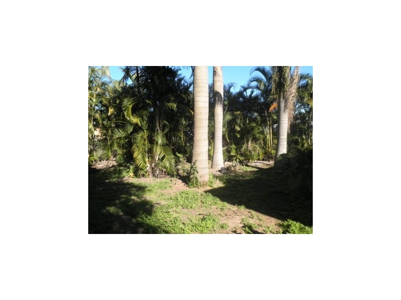 39 FLAXTON STREET, Acacia Ridge QLD 4110