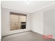 51 Cedar Street, Cannon Hill QLD 4170