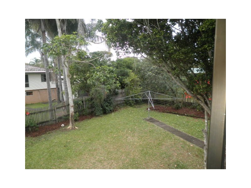 29 Woody Avenue, Kingston QLD 4114