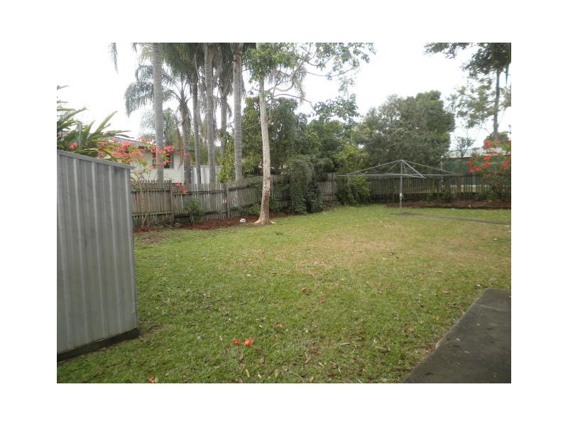 29 Woody Avenue, Kingston QLD 4114