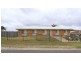 11 Evenwood Street, Daisy Hill QLD 4127
