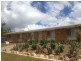 11 Evenwood Street, Daisy Hill QLD 4127