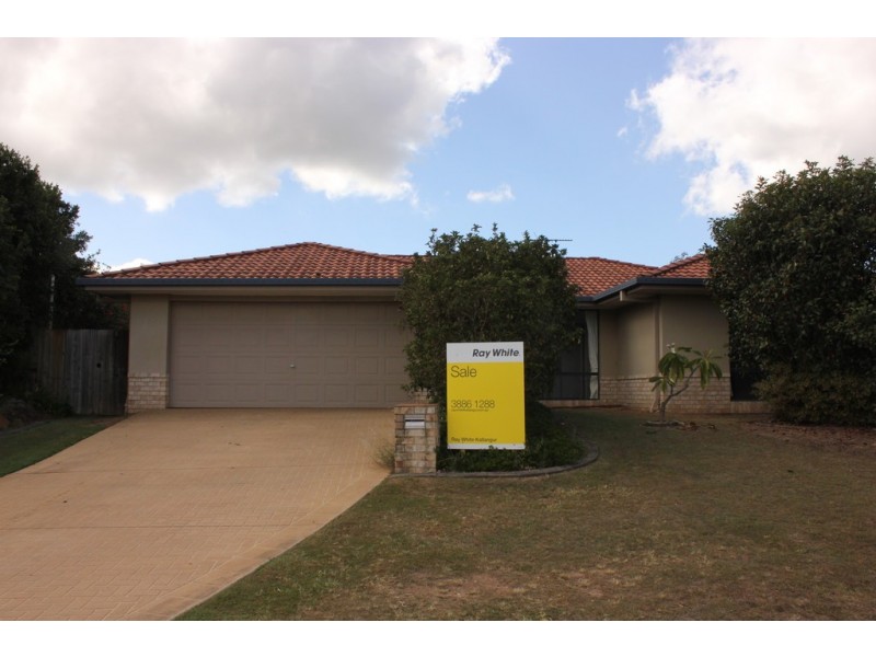 6 Terracotta, Griffin QLD 4503