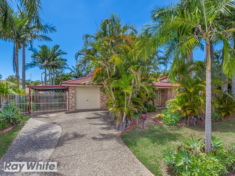 16 Surround, Dakabin QLD 4503