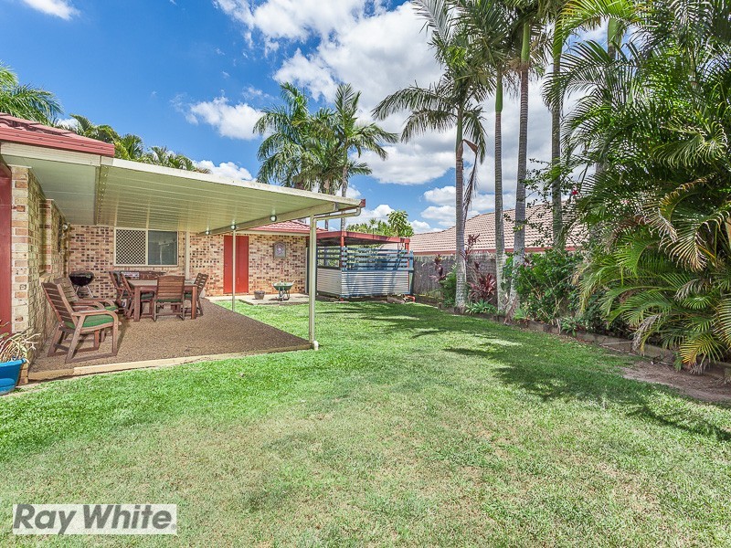 16 Surround, Dakabin QLD 4503