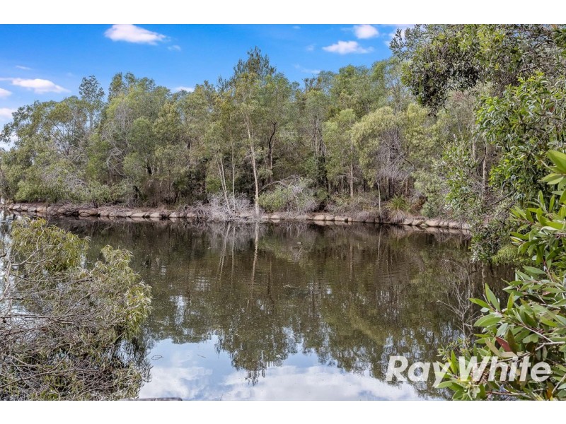 24 Alexandra Avenue, North Lakes QLD 4509