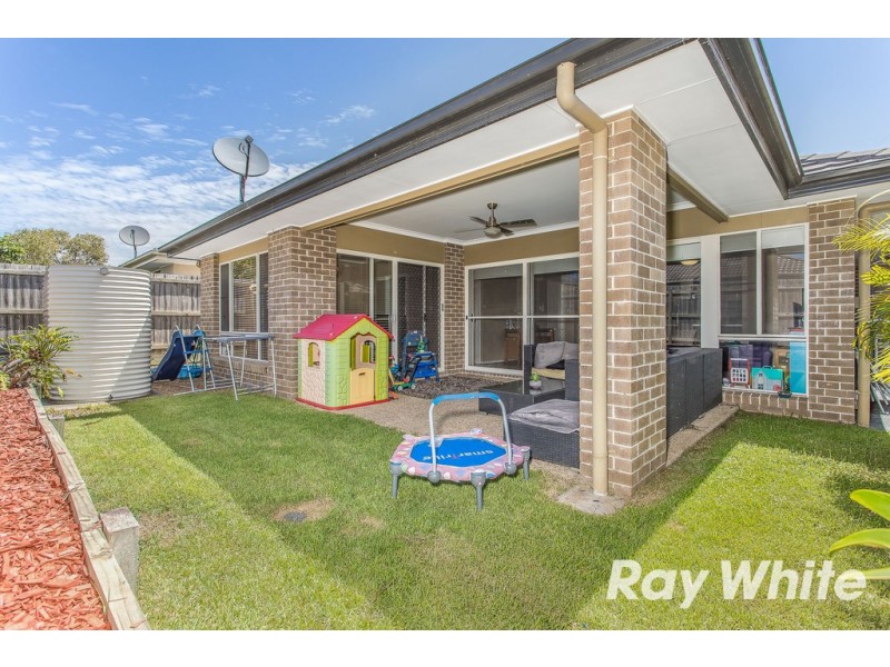 4 Wallis Circuit, North Lakes QLD 4509