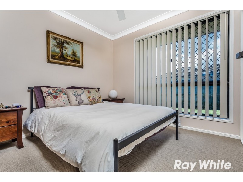 19 Denson Street, Morayfield QLD 4506