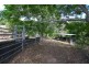 387 Rocky Waterholes Wollingford Road, Marian QLD 4753