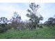 99 Coleshill Drive, Hay Point QLD 4740