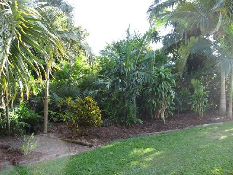 44 Davey Street, Glenella QLD 4740