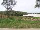 3 Grange Court, Eimeo QLD 4740