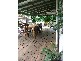 84 Donaldson Street, West Mackay QLD 4740