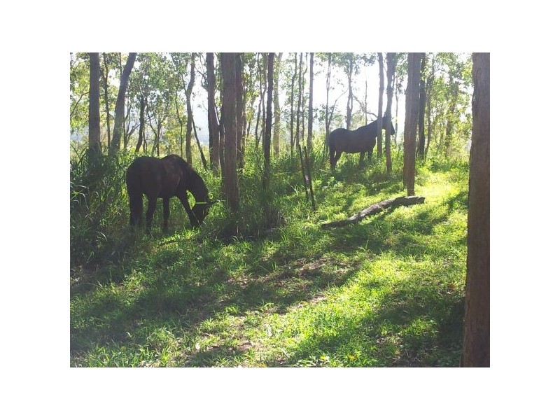 Lot 166 Woods Road, Dows Creek QLD 4754
