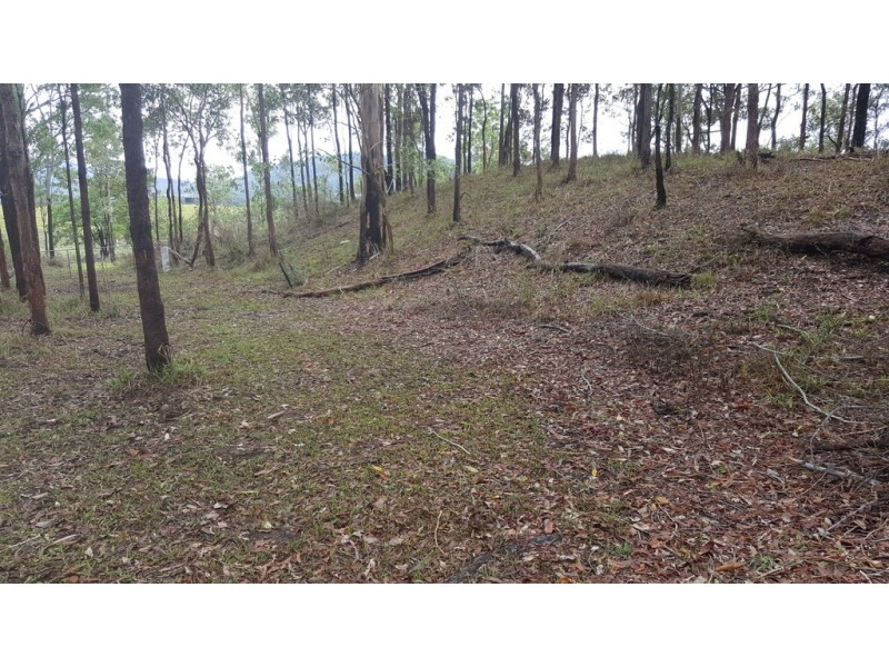Lot 166 Woods Road, Dows Creek QLD 4754