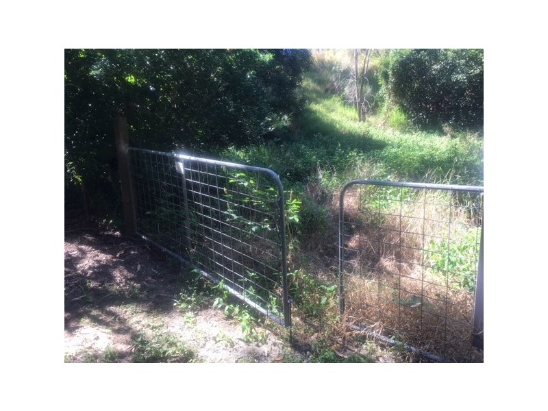 1 Kingfisher Street, Slade Point QLD 4740