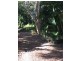 1 Kingfisher Street, Slade Point QLD 4740