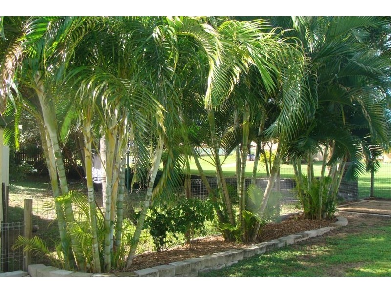 12 Denman Ave, Shoal Point QLD 4750