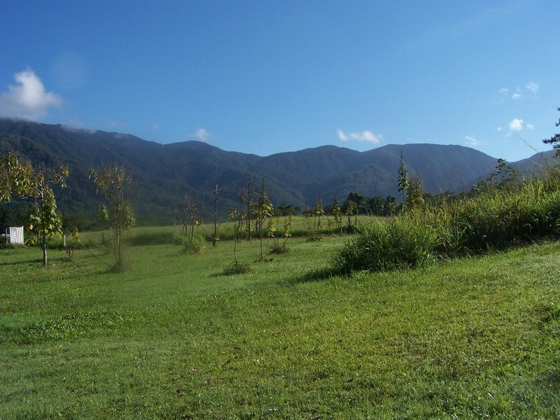 498 Gorge Road, Finch Hatton QLD 4756