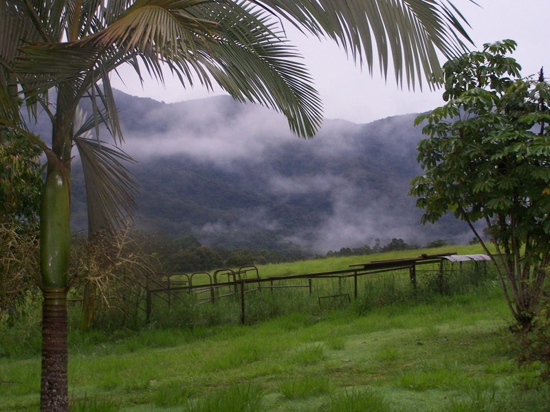 498 Gorge Road, Finch Hatton QLD 4756