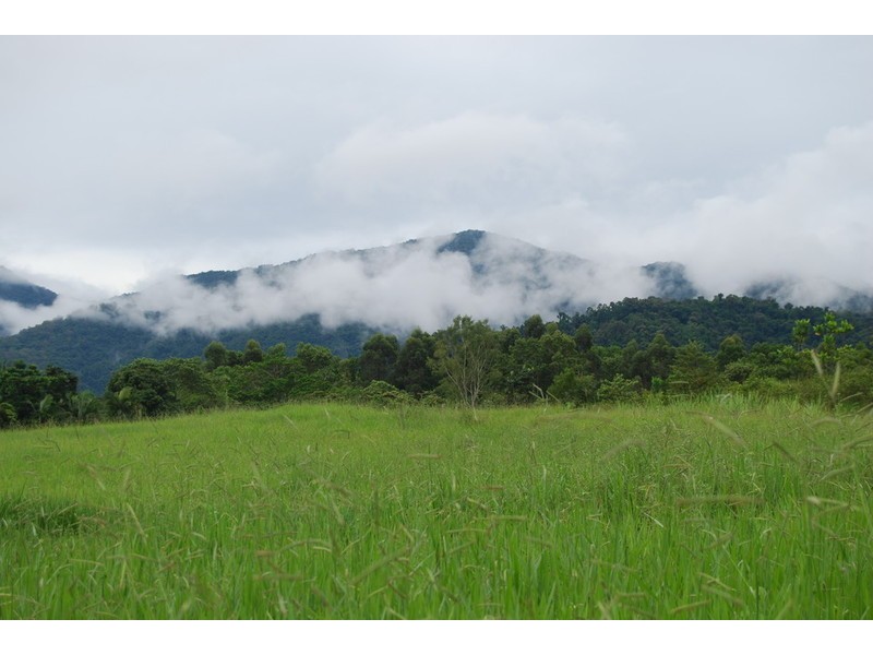 498 Gorge Road, Finch Hatton QLD 4756