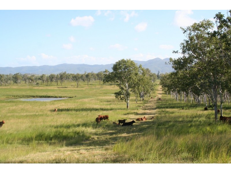 “Kingsborough” Victoria Plains, Victoria Plains QLD 4751