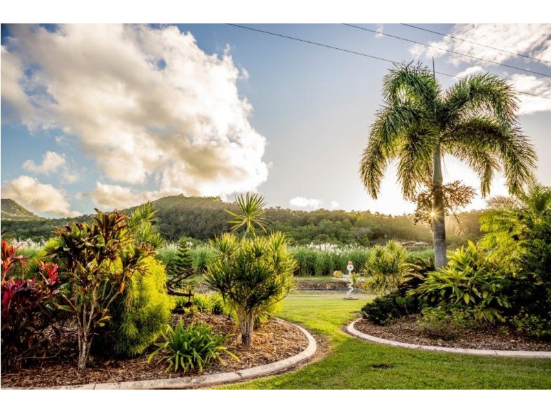 1428 Yakapari Seaforth Road, Mount Jukes QLD 4740