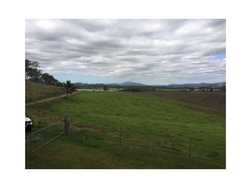 1742 Owens Creek Loop Road, Owens Creek QLD 4741